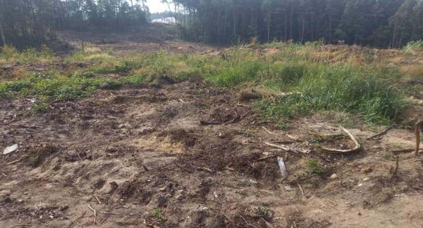 Na zdjęciu: W tym miejscu przy budowie obwodnicy odkopano szczątki ludzkich kości