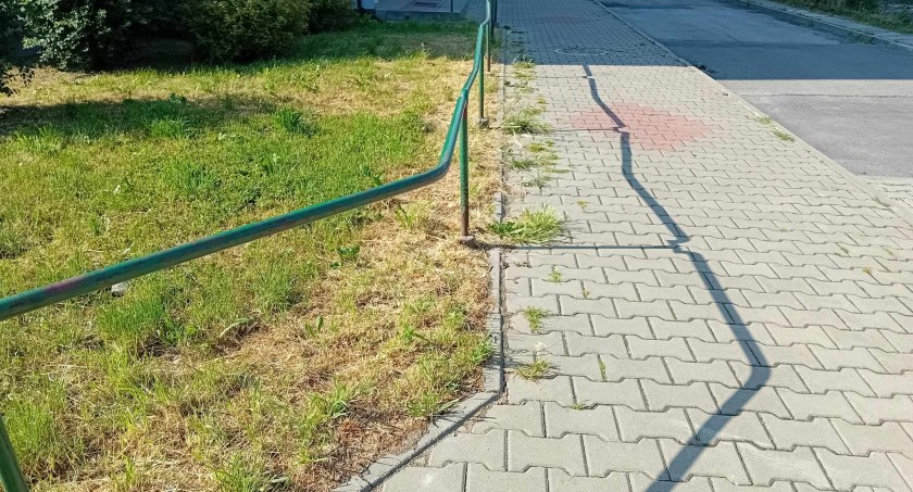 chemicznym środkiem pryskane są obrzeża trawników, by chodniki nie zarastały zielskiem. Ma to być bardzo szkodliwe dla zwierząt i ludzi