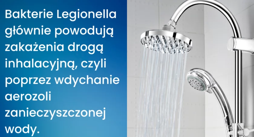Bakterie Legionella głównie powodują zakażenia drogą inhalacyjną poprzez wdychanie aerozoli zanieczyszczonej wody