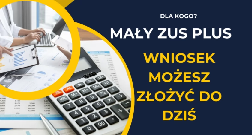 Mały ZUS plus