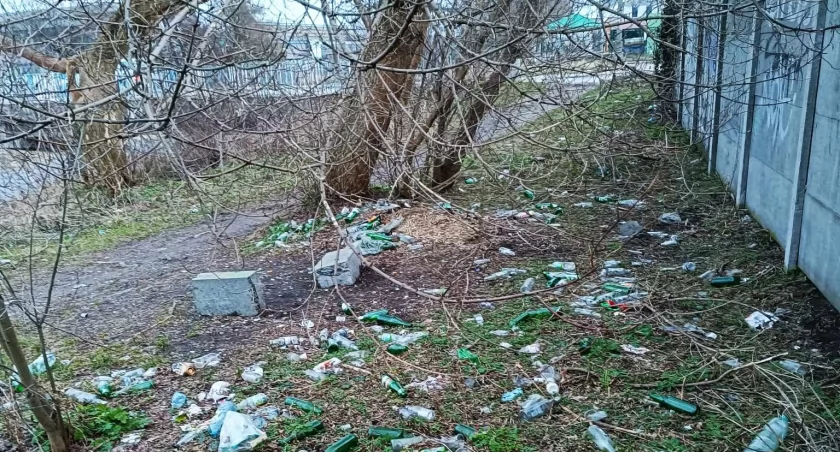 Widąć, że już dawno nikt wzdłuż rzeki Kamiennej w Starachowicach nie sprzątał