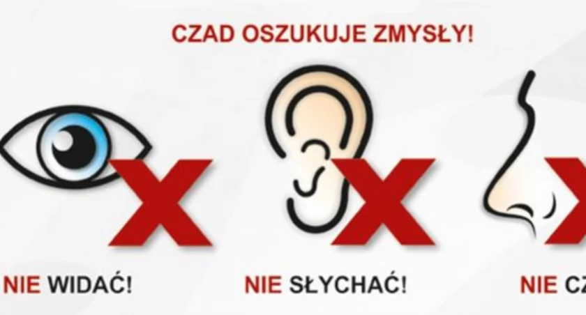 Jak wynikało ze wstępnych ustaleń źródłem zagrożenia był piecyk gazowy, z którego czad się ulatniał