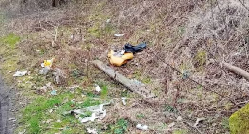 Teren przy torowisku kolejki wąskortorowej 