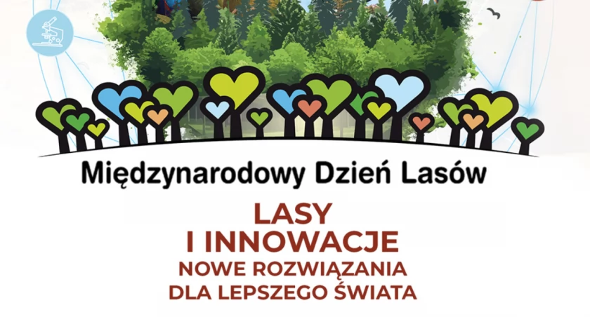 Wydarzenia, Dziś Międzynarodowy Dzień Lasów Zobacz zaplanowano twojej okolicy - zdjęcie, fotografia