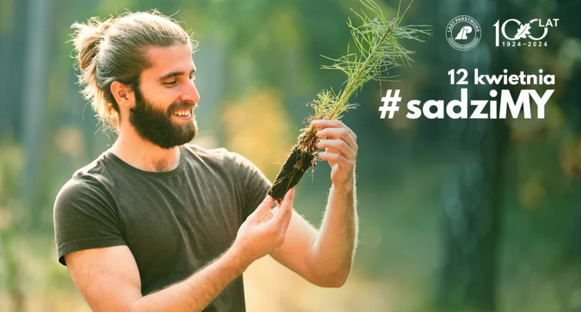 Wydarzenia, Nadleśnictwo Starachowice zaprasza sadzonki - zdjęcie, fotografia