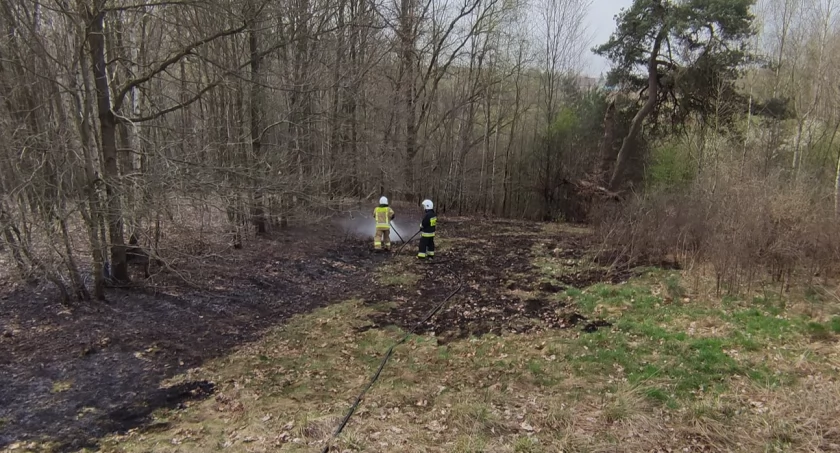 Podpalenie - to najbardziej prawdopodobna przyczyna pożarów na terenie gm. Brody