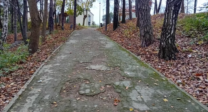 Chyba nie tak powinno wyglądać parkowe alejki?