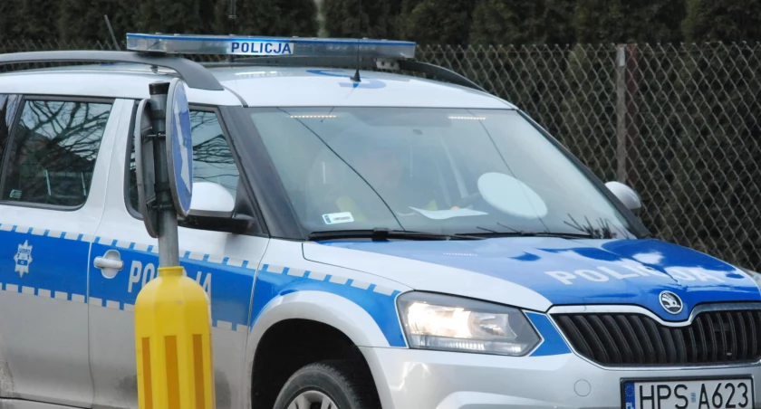 Mężczyzna został zatrzymany w okolicach ul. Kraszewskiego 