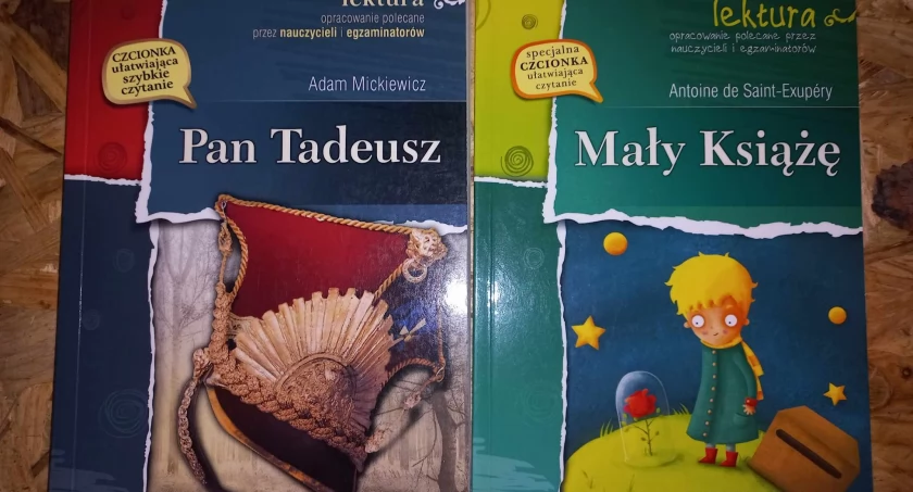 Zdjęcie: Warto zwrócić uwagę na Małego Księcia i Pana Tadeusza!