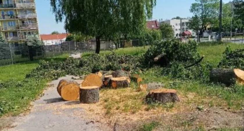MIeszkańcy okolicznych bloków po raz kolejny dają wyraz niezadowolenia wobec niszczenia przyrody