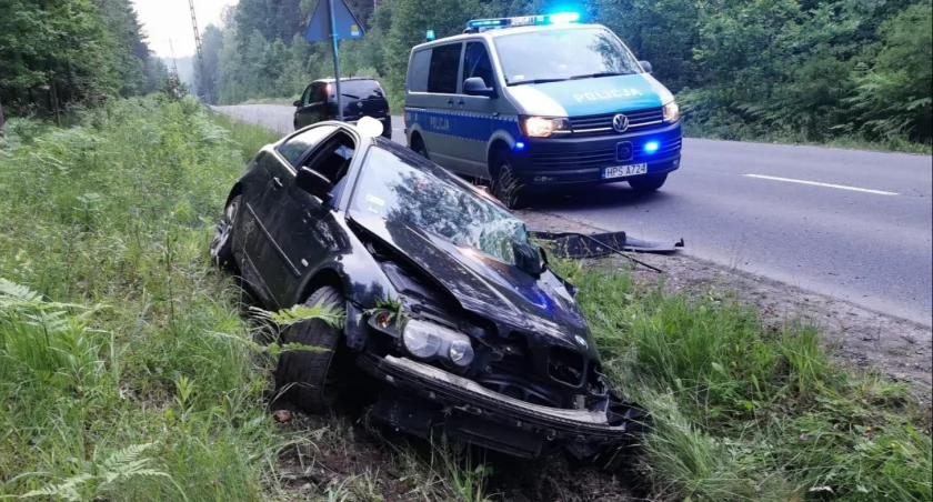 Jak wynikało z tłumaczeń kierującego, mężczyzna chciał ominąć sarnę, która wybiegła na drogę