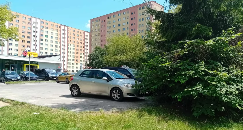 Wystarczyłoby wyciąć zakrzaczenia i powstałoby idealne przejście do ulicy