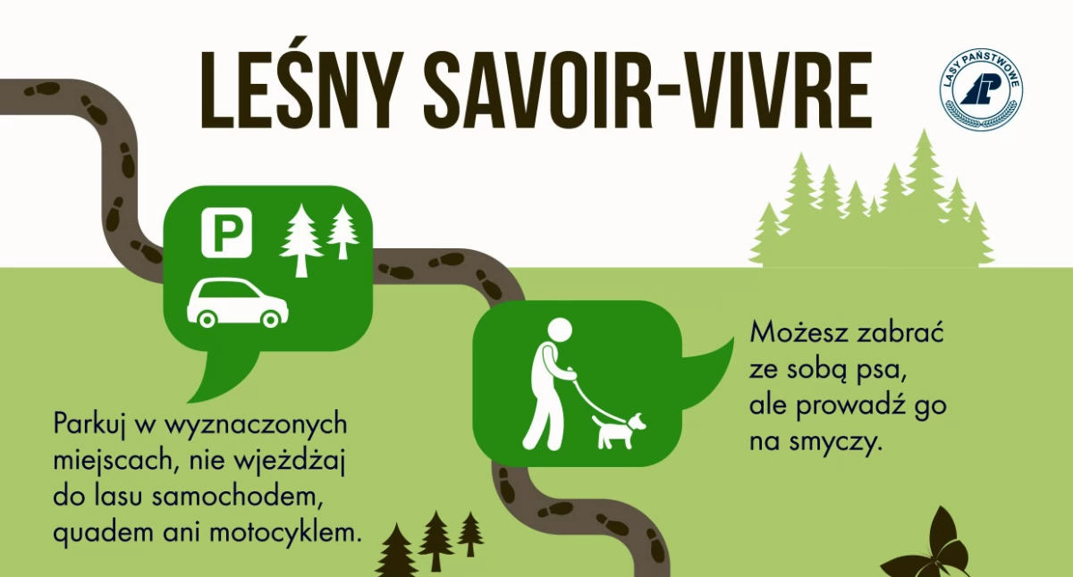 Leśny savoir-vivre (fot. Lasy Państwowe)