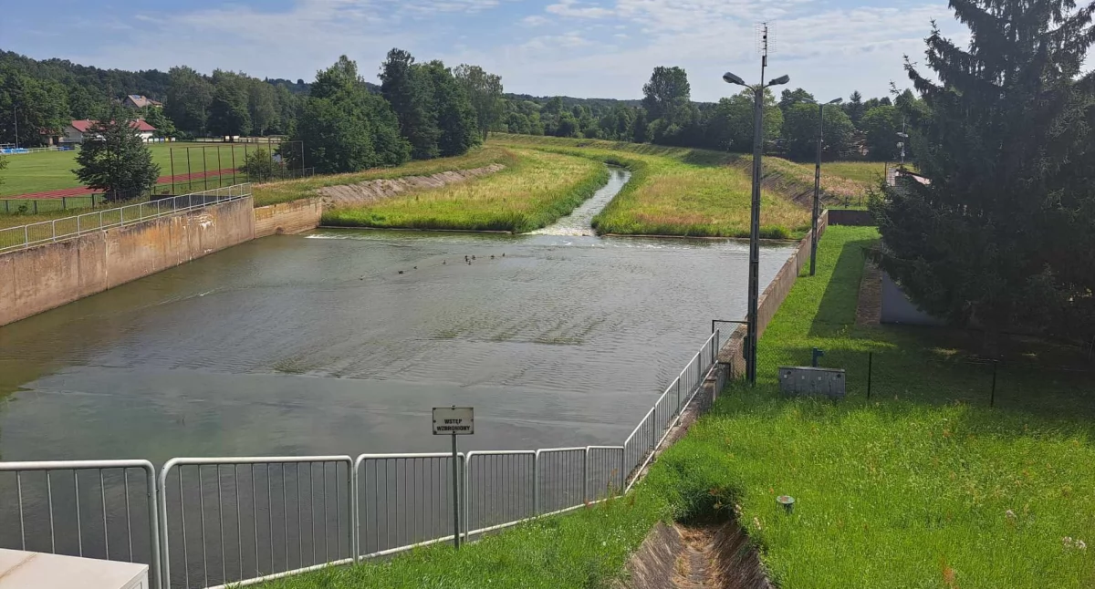 Dwa razy w sezonie powinna być koszona trawa