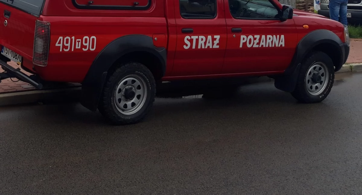 Pożary, Pożar terenie gminy Mirzec Nieużytki ogniu - zdjęcie, fotografia