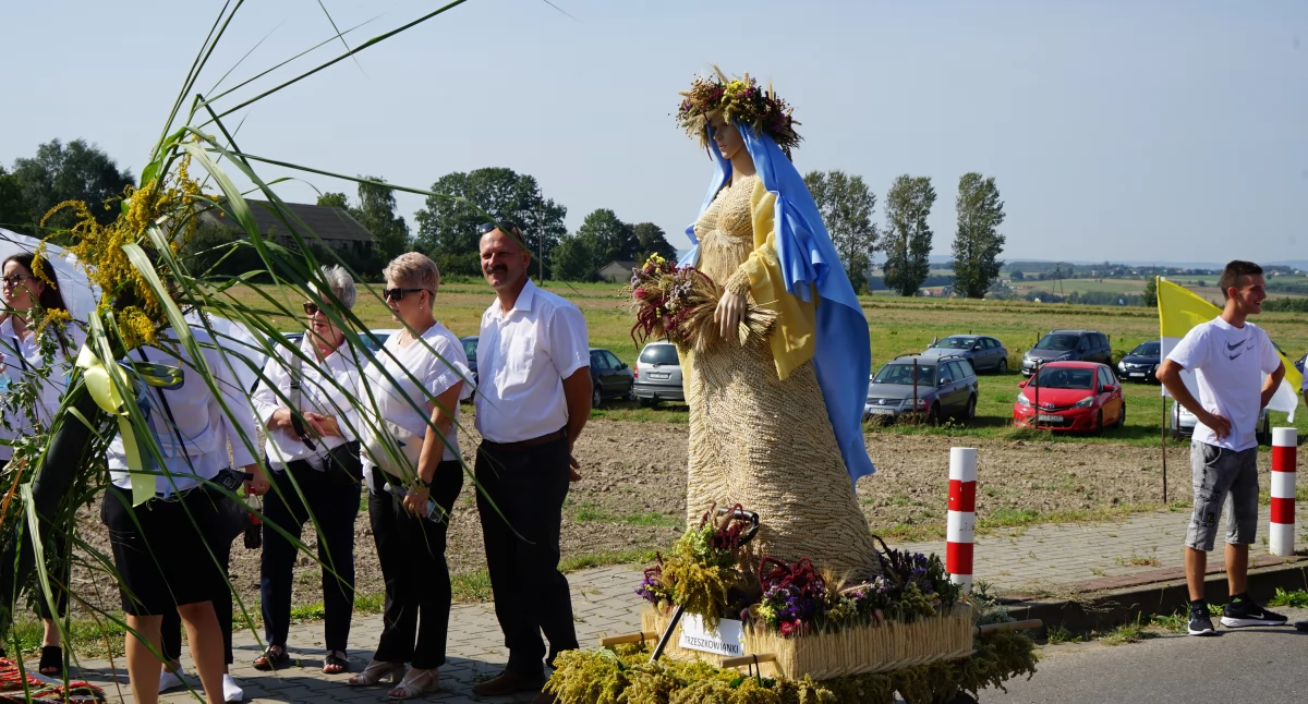 Zdjęcie: korowód dożynkowy 
