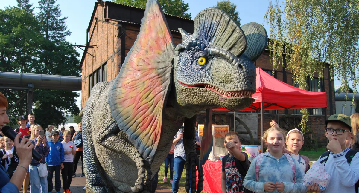 Największą atrakcją Festiwalu, podobnie jak rok temu był pokaz 
