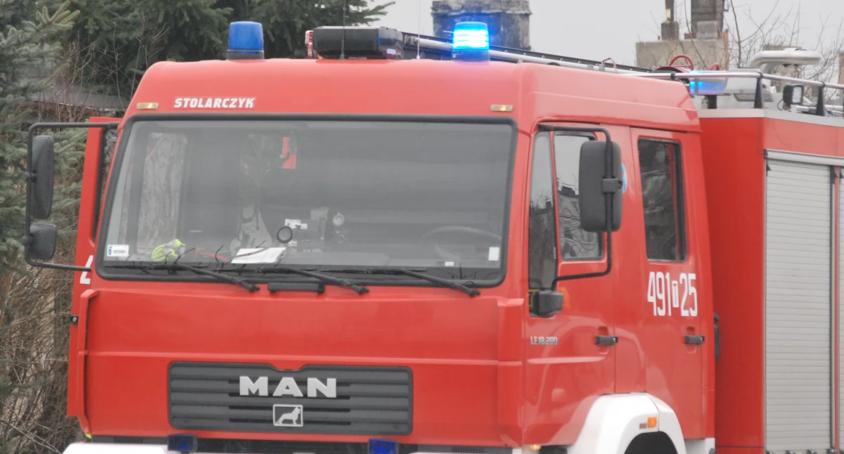 Straż Pożarna, letni mężczyzna pogryziony przez Pomogli starachowiccy strażacy - zdjęcie, fotografia