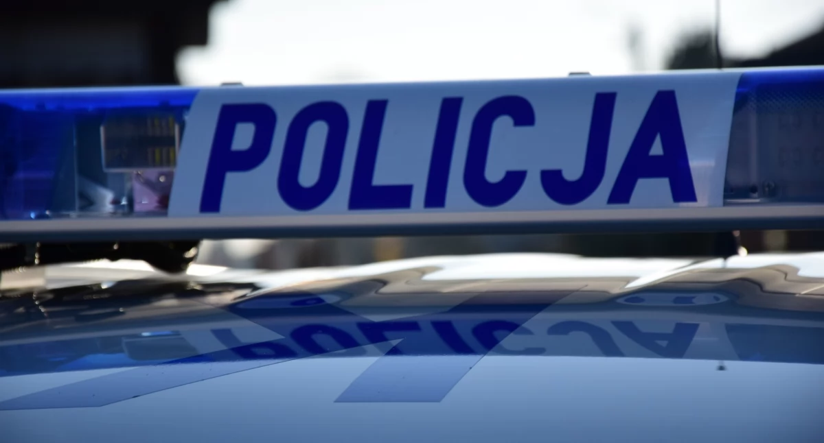 Kronika policyjna, Makabryczne odkrycie lesie Spacerowicz natrafił ludzką czaszkę - zdjęcie, fotografia