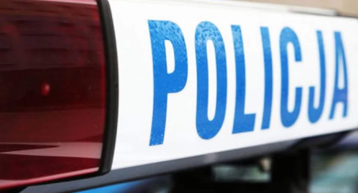 Kronika policyjna, Szybka reakcja mężczyzny skuteczne działania policji Zagubiona latka szczęśliwie odnaleziona - zdjęcie, fotografia