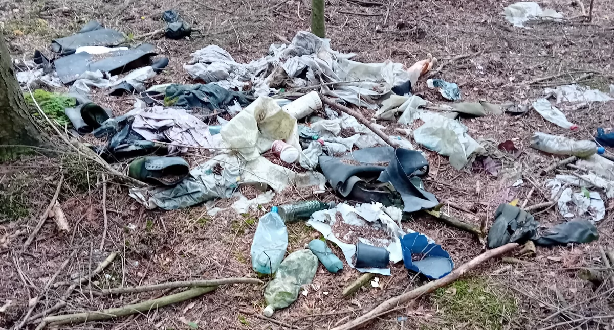 Oprócz grzybów, takie widoki w naszych lasach