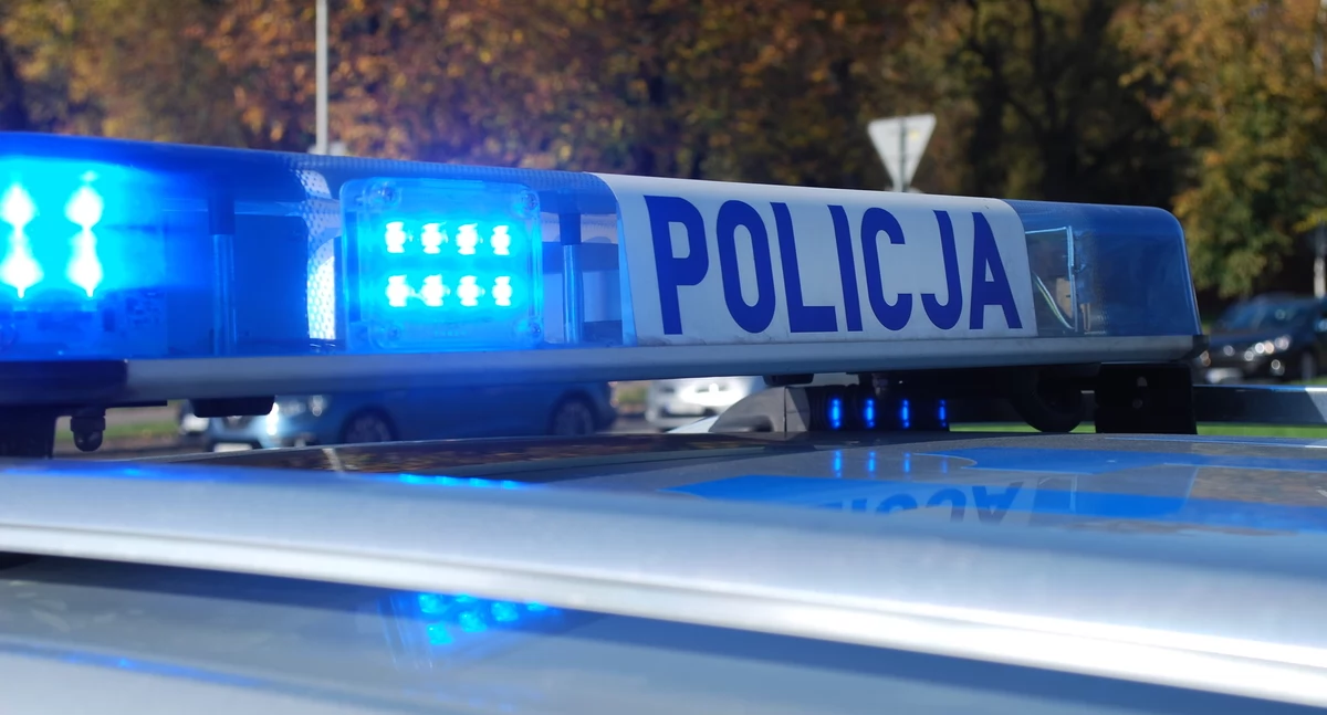 Wypadki drogowe, Wypadek miejscowości Modrzewie Samochód wjechał - zdjęcie, fotografia