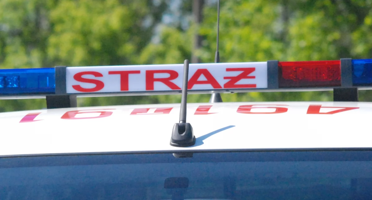 Pożary, Pożar Małyszynie Starachowiccy strażacy miejscu - zdjęcie, fotografia