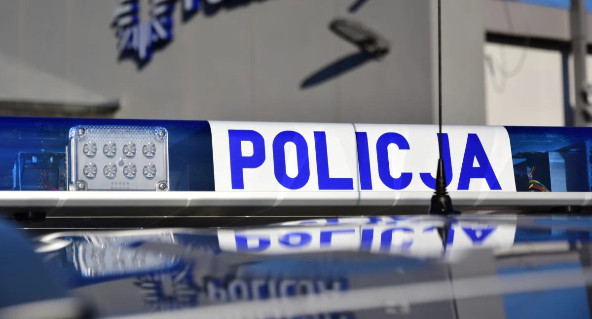 Kronika policyjna, Internetowe oszustwo terenie gminy Pawłów Zaliczka trafiła rachunek bankowy - zdjęcie, fotografia