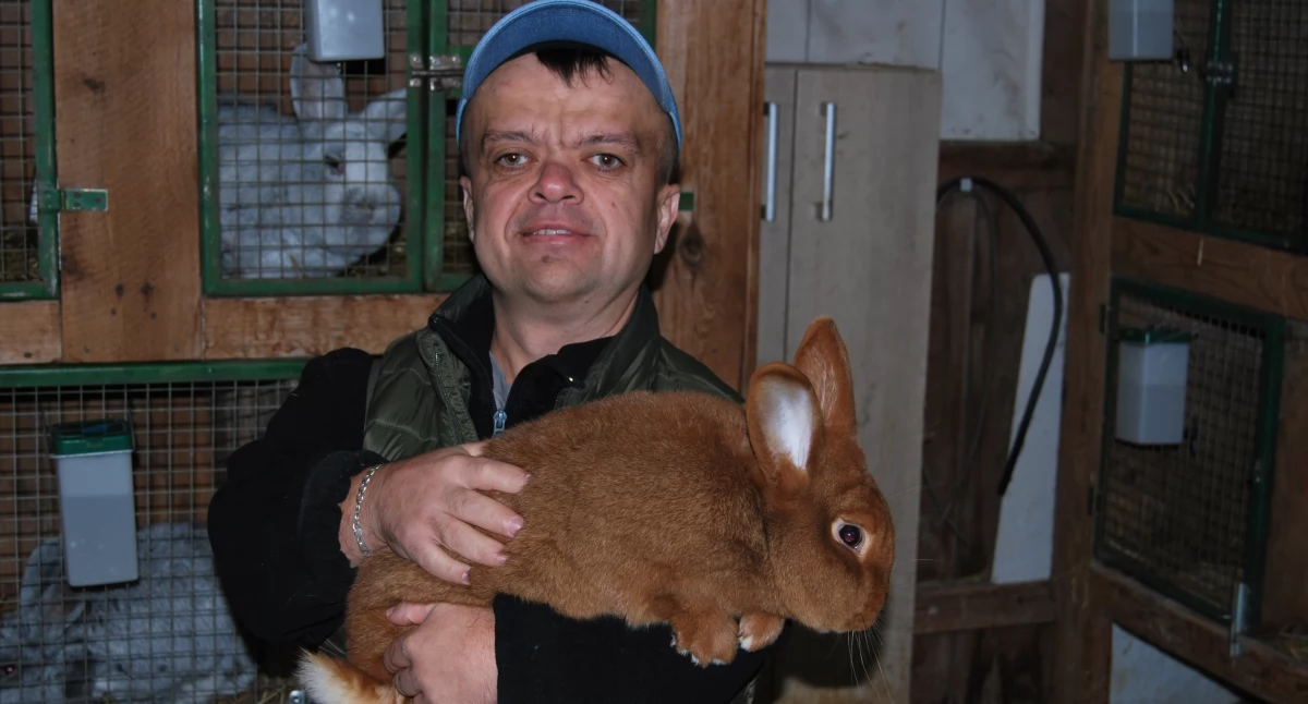 Radosław Gębura wiele serca i pracy oddaje dla hodowli królków rasowych