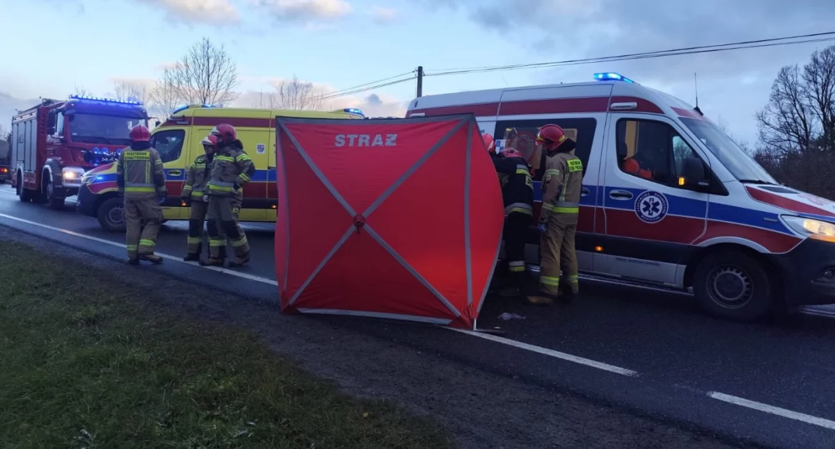 Wypadki drogowe, Tragiczny wypadek Parszowie żyje letnia dziewczyna - zdjęcie, fotografia