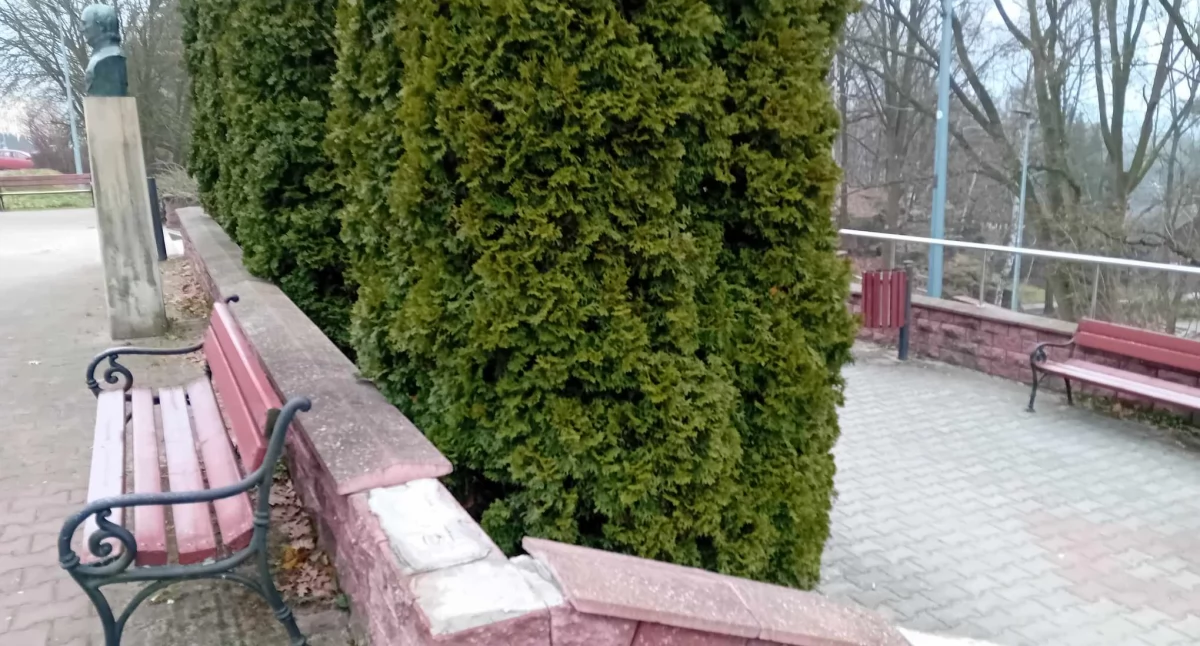 Interwencje, Gzymsy odpadają sypią trawnik - zdjęcie, fotografia