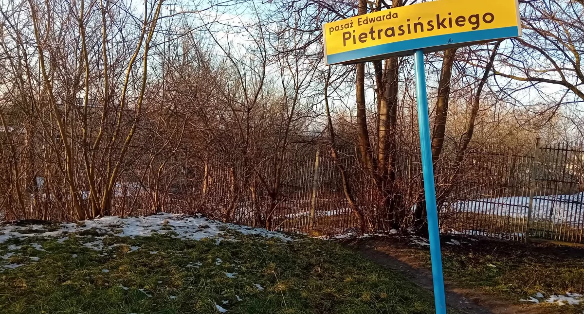 Interwencje, Dziki skrót niepokoi mieszkańców - zdjęcie, fotografia