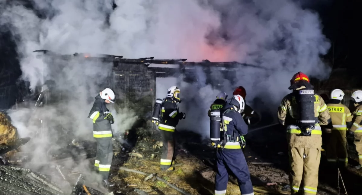 Pożary, Pożar Adamowie żywiołem walczą zastępy Starachowic także gminy Brody - zdjęcie, fotografia