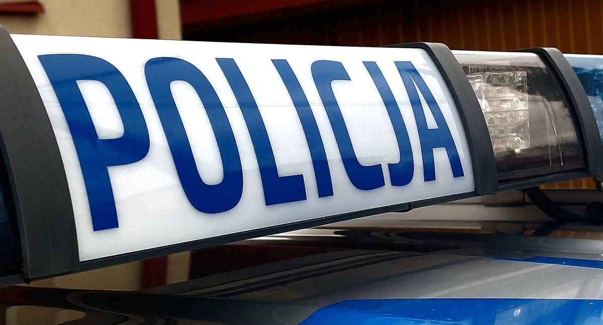Zaginieni, Młoda kobieta poszukiwana przez starachowickich policjantów ostatni widziana była marca - zdjęcie, fotografia