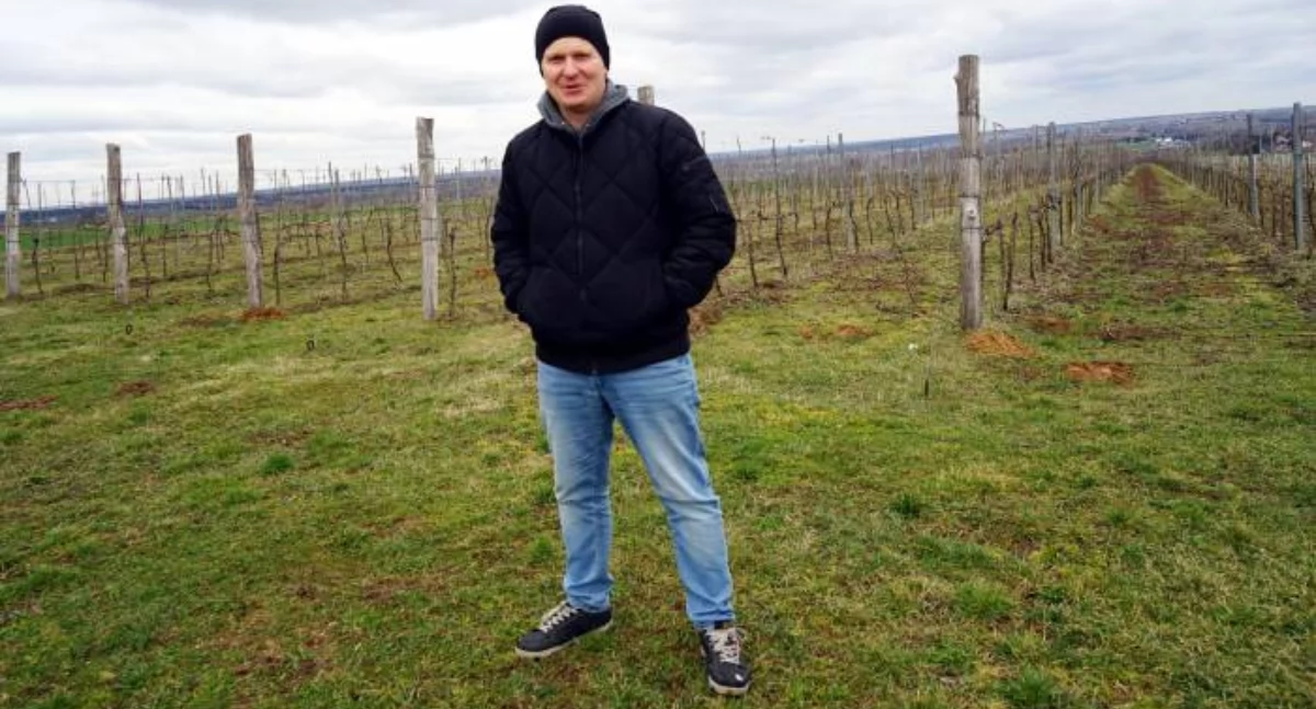 Wymiana winorośli nie jest konieczna, one przeżyją na pewno mnie i moje dzieci, jeśli będą chciały to kontynuować - mówi pan Piotr 