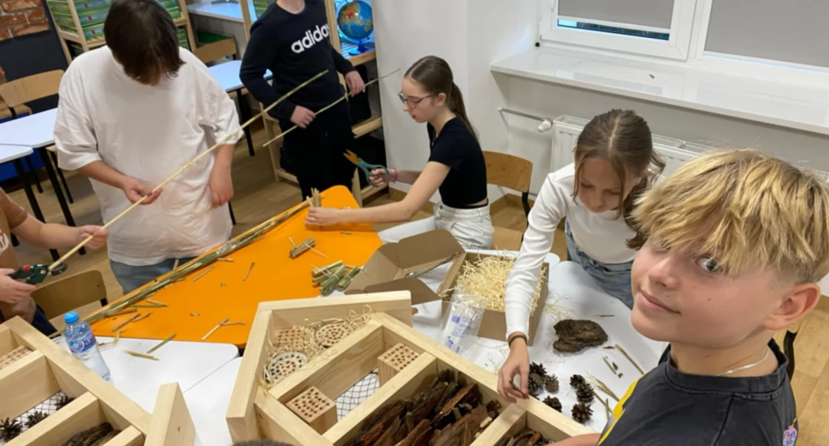 Ekologia, dołączyła programu Schools - zdjęcie, fotografia