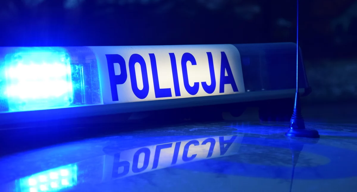 Wypadki drogowe, Wypadek drogowy Paprocicach pechowy wieczór letniego kierowcy - zdjęcie, fotografia