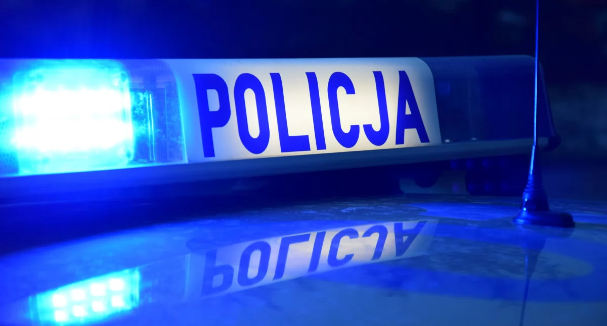 Kronika policyjna, Tragiczny wypadek Osinach dotkliwie pogryzły mężczyznę - zdjęcie, fotografia