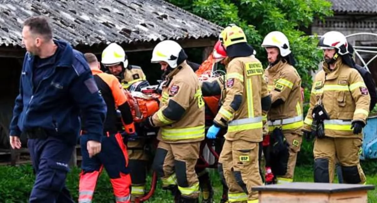 Sąd i prokuratura, śledztwo brutalnym ataku psów gminie Mirzec Prokuratura Rejonowa gromadzi materiał dowodowy - zdjęcie, fotografia