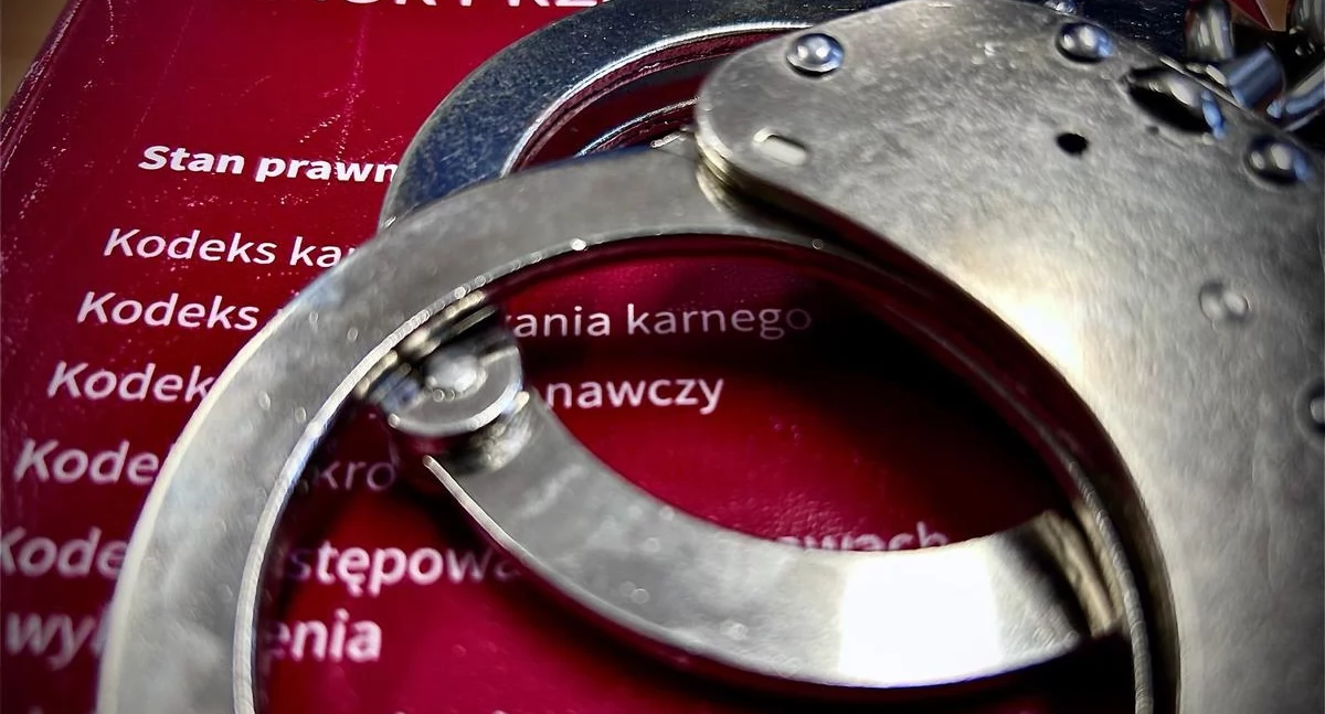 Kronika policyjna, Ucieczka zakończona Interwencja policjantów służbie - zdjęcie, fotografia