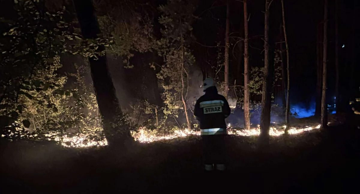 Pożary, Seria pożarów terenie gminy Brody Strażacy mają ręce pełne pracy - zdjęcie, fotografia