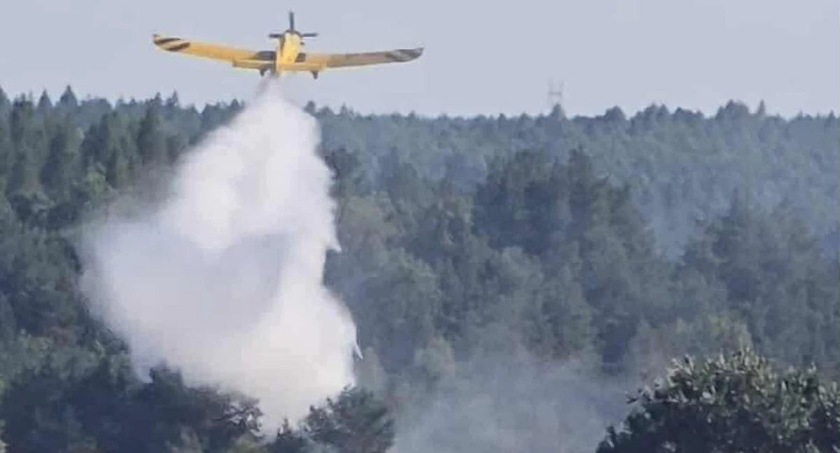 Pożary, Pożar poszycia leśnego Starachowicach Samolot gaśniczy akcji - zdjęcie, fotografia