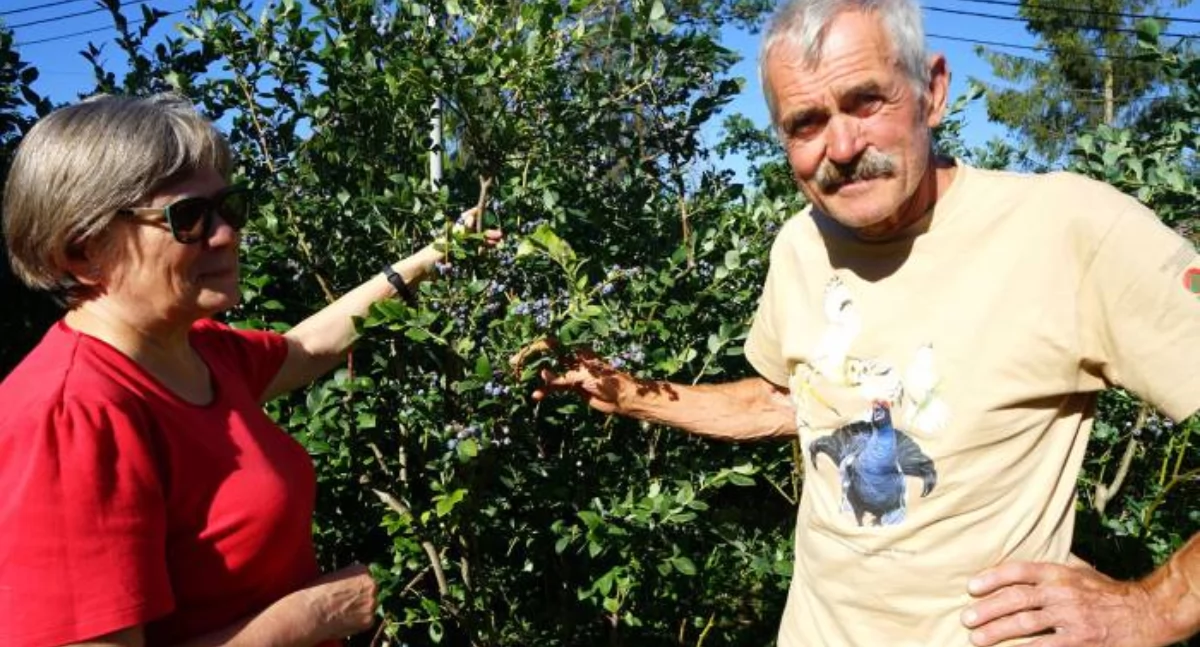 Gabriela i Krzysztof Król, ogrodnicy z gm. Bliżyn
