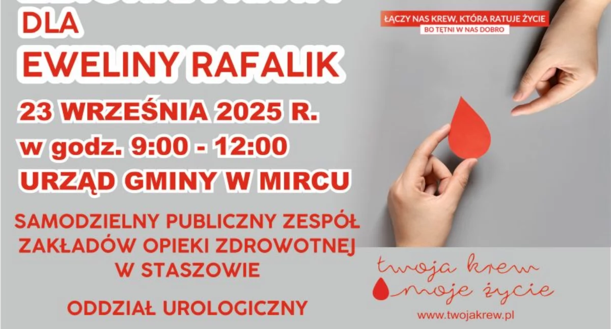 Pomagamy, Zbiórka Mircu Potrzebne wsparcie Eweliny Rafalik - zdjęcie, fotografia