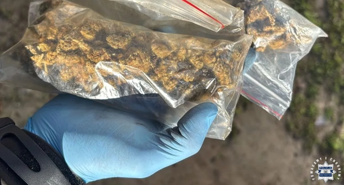 35-latek wpadł z ogromną ilością narkotyków. Policyjny sukces