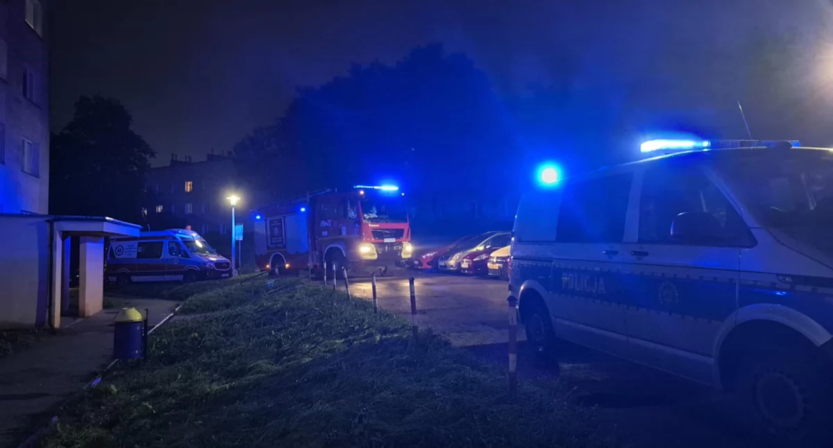 Kronika policyjna, Służby postawione - zdjęcie, fotografia