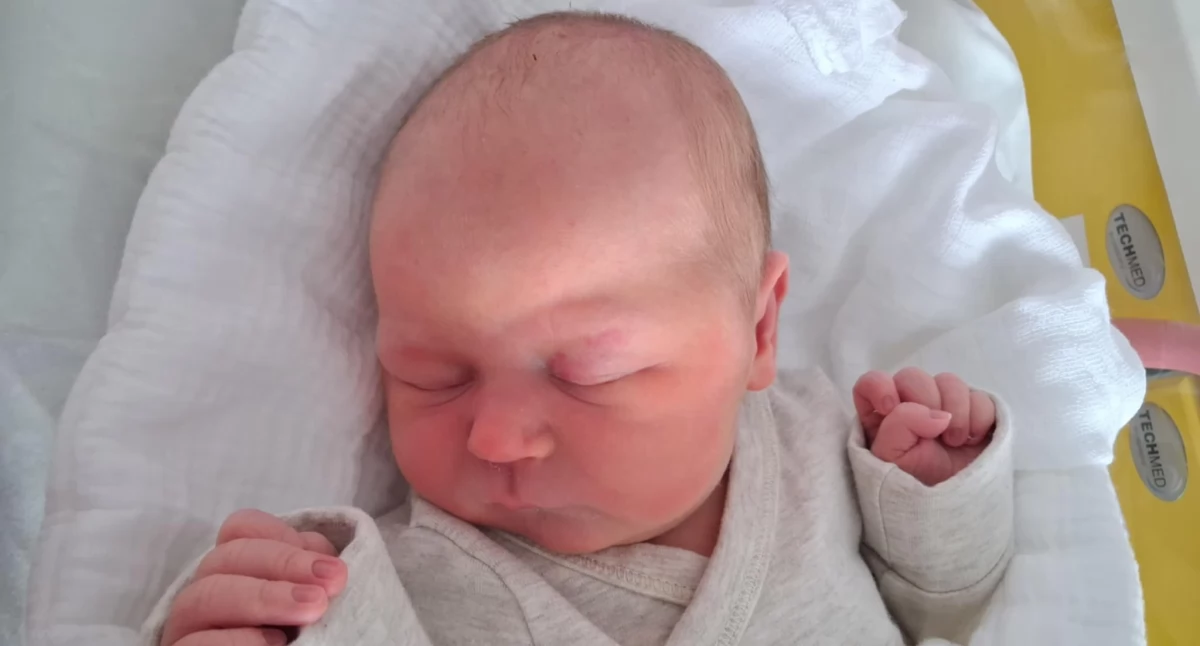 Liliana Zdziechowicz