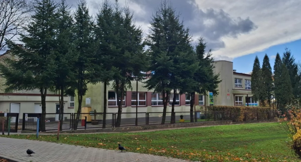 Edukacja, Niepewny Przedszkola Miejskiego Starachowicach - zdjęcie, fotografia