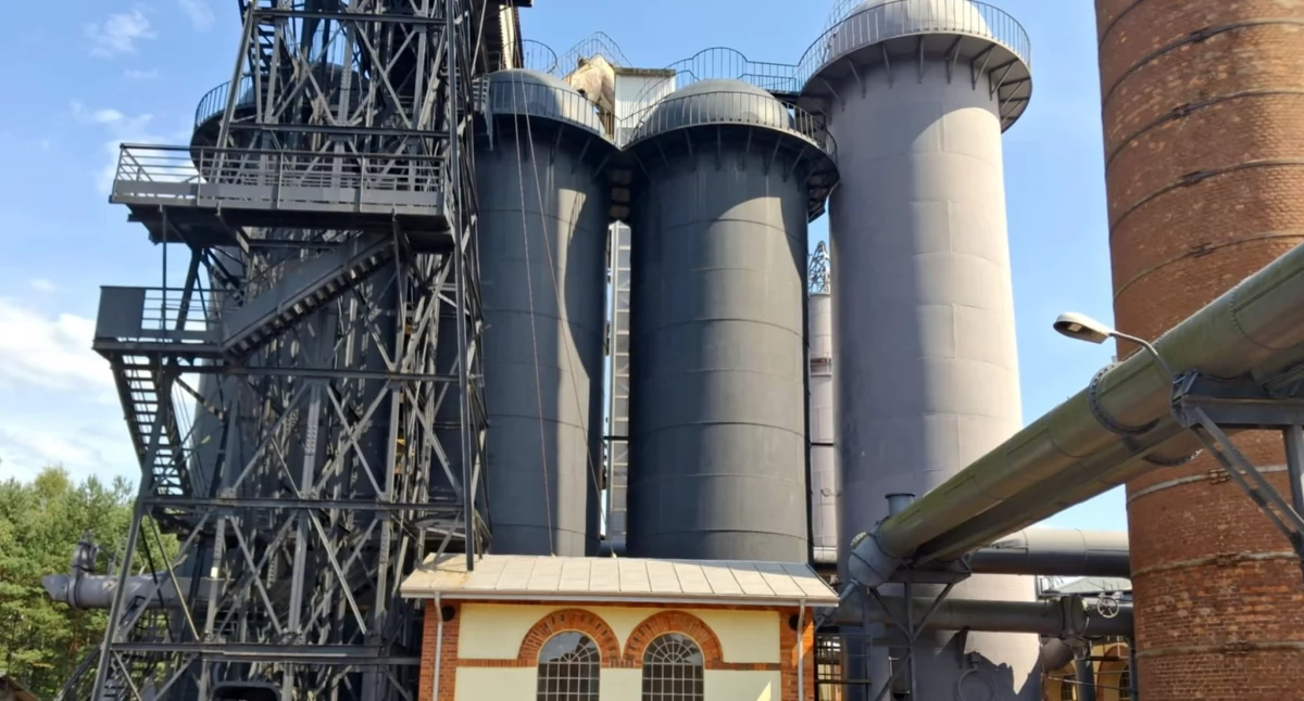 Wydarzenia, Konferencja naukowa okazji urodzin Wielkiego Pieca - zdjęcie, fotografia