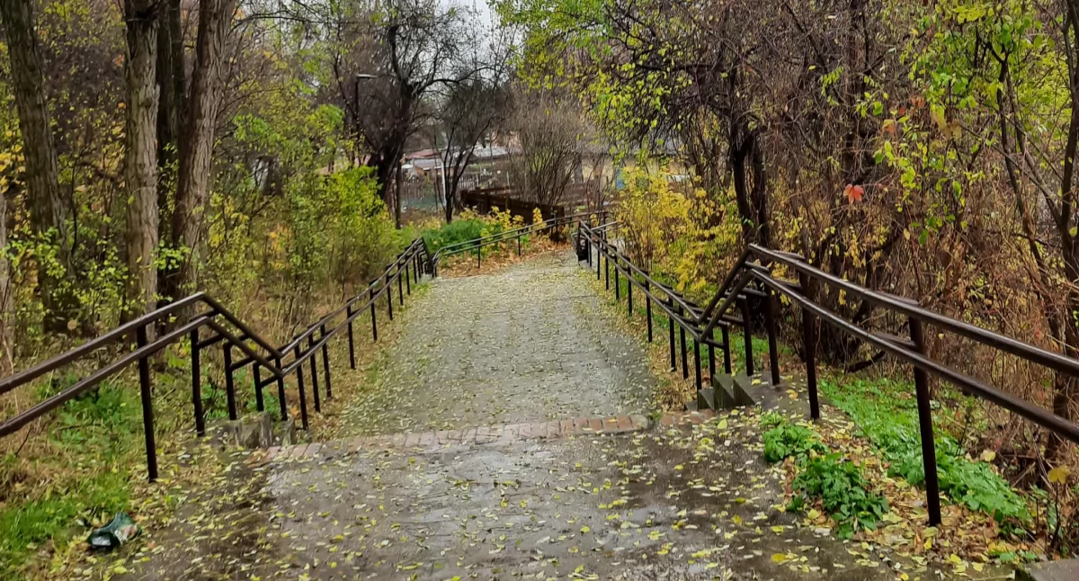 Interwencje, Zarośnięte przejście straszy mieszkańców Dzieci boją tędy chodzić - zdjęcie, fotografia
